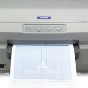 Epson PLQ20 Dotmatrix Printer