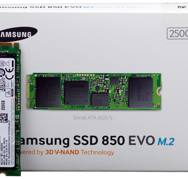 Samsung SSD 850 Evo 250GB (M.2 SATA)